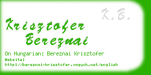 krisztofer bereznai business card